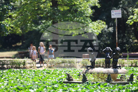 Лято - горещини