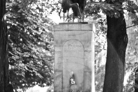 Софийските чешми