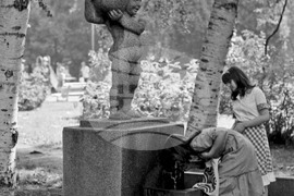 Софийските чешми