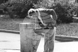 Софийските чешми