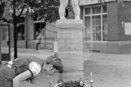 Софийските чешми