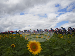 Cycling Tour de France