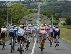 Cycling Tour de France