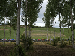 APTOPIX Cycling Tour de France