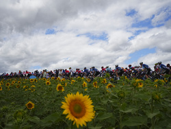 APTOPIX Cycling Tour de France