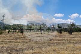 Пловдив - община Хисаря - община Калояново - пожари