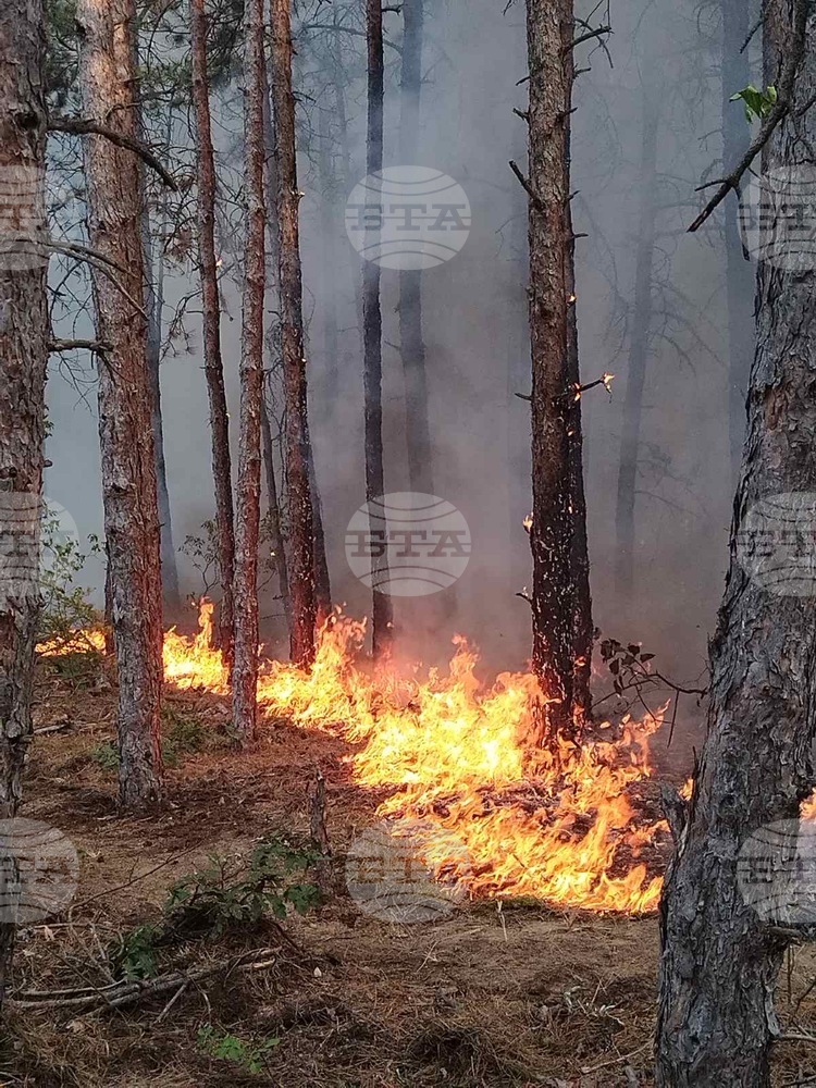 Armed Forces Take Part in Firefighting Efforts across Bulgaria for Sixth Consecutive Day