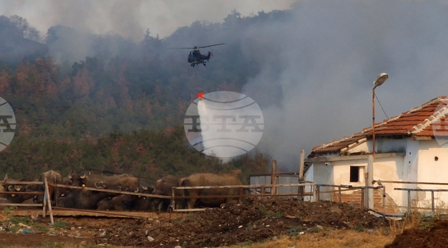 Пловдив - община Хисаря - община Калояново - пожари