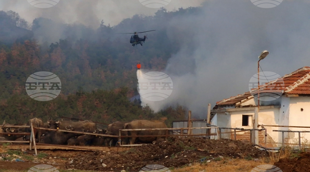 Пловдив - община Хисаря - община Калояново - пожари