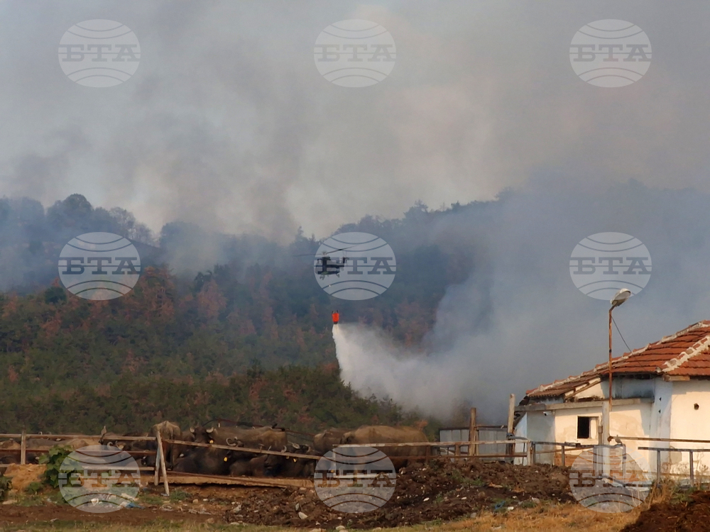 Пловдив - община Хисаря - община Калояново - пожари