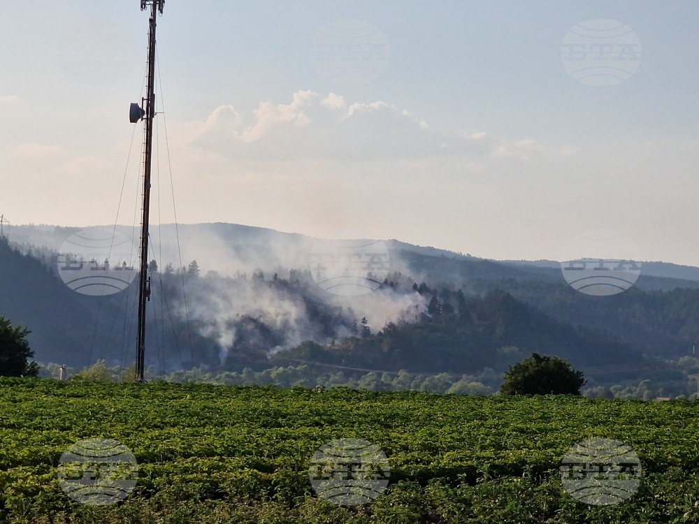 Отново е пламнал пожар край самоковското село Широки дол, съобщи кметът на селото