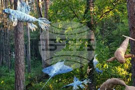 Кюстендил - фестивал - "Хисарлъка Experience"