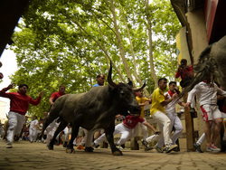 Spain Running of the Bulls
