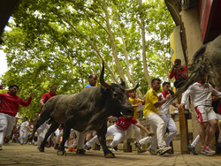 Spain Running of the Bulls