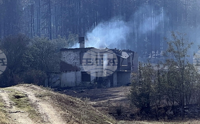 Военнослужещи и летателна техника продължават да участват в гасенето на горските пожари