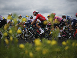 Cycling Tour de France