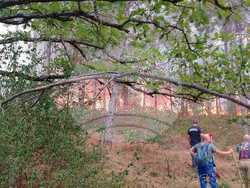 Снимка: Министерство на земеделието и храните