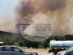 Снимка: Министерство на земеделието и храните