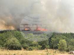 Снимка: Министерство на земеделието и храните