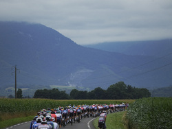 Cycling Tour de France