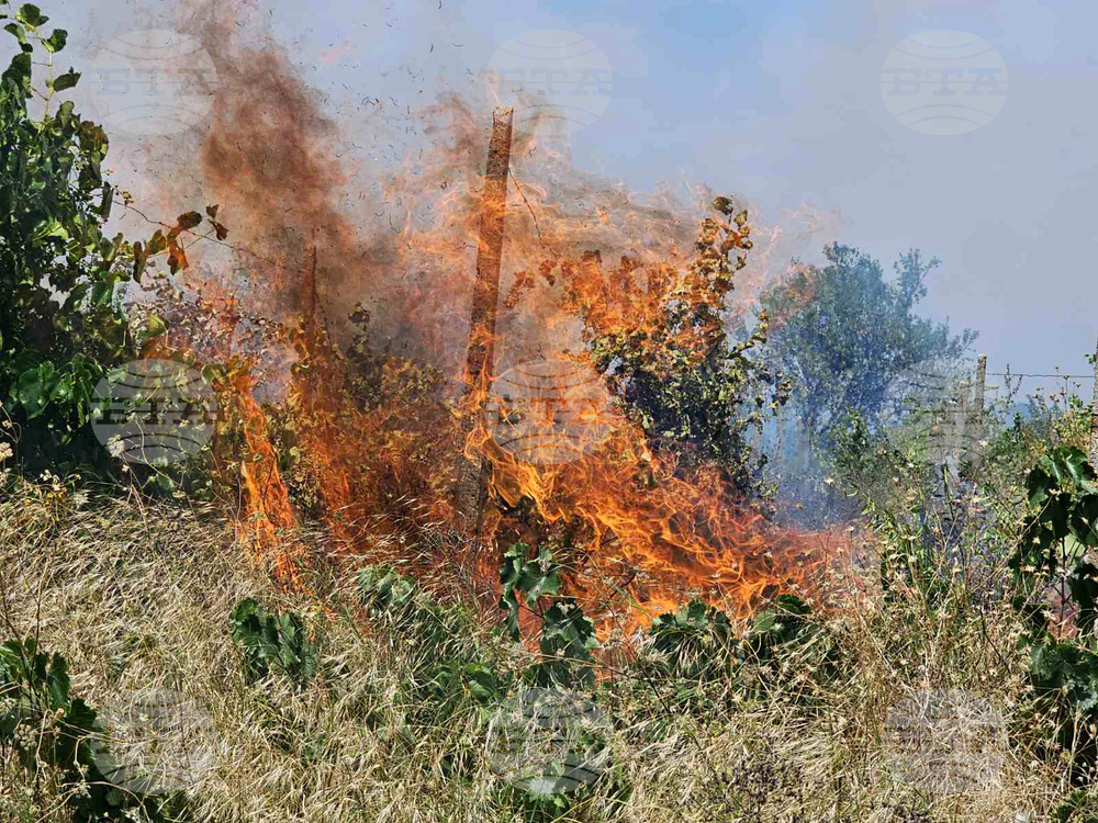 Хасково - пожари - село Студена