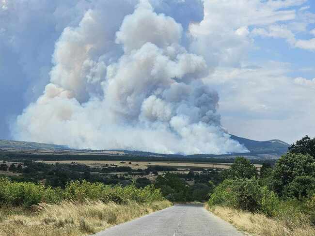 Firefighters, Volunteers, Military Personnel Keep Fighting Wildfires in Haskovo, Plovdiv Regions