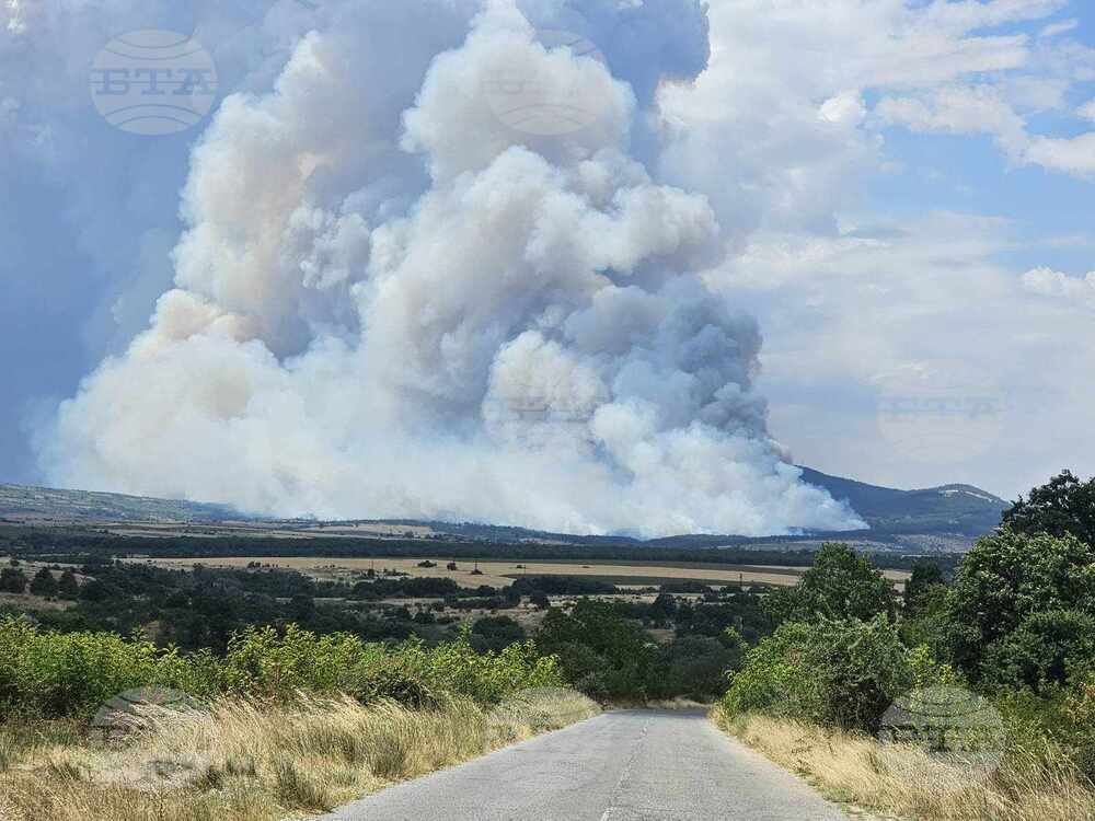 Хасково - пожари - село Студена