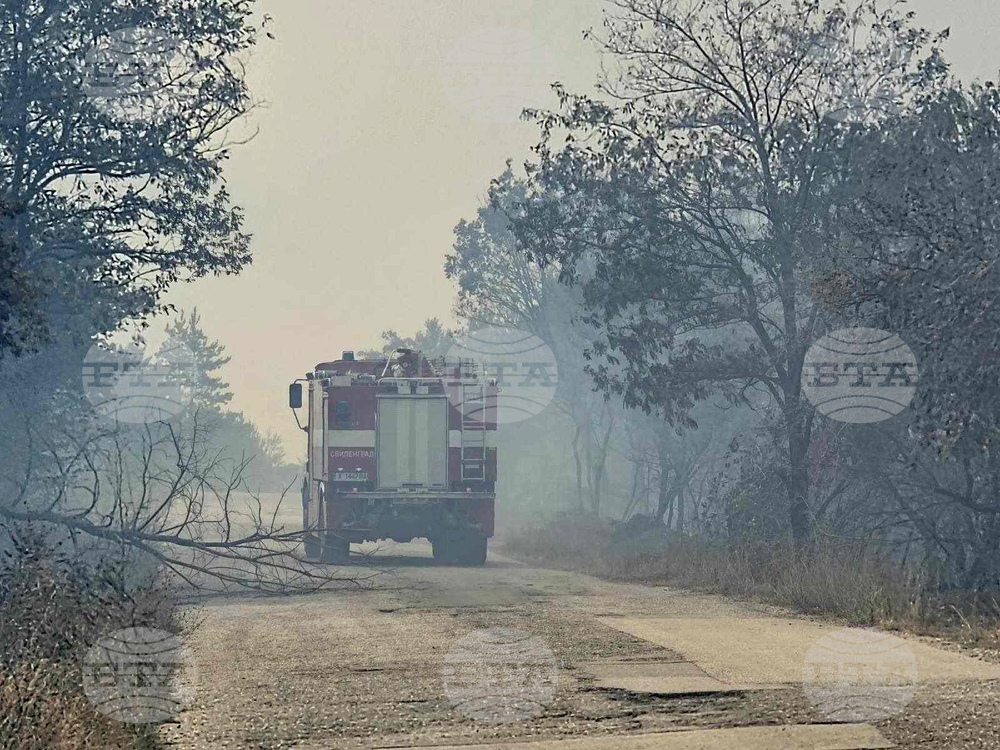 Хасково - пожари - село Студена