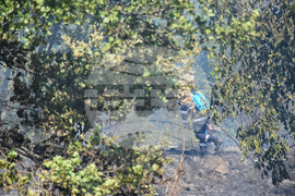 Село Селище - пожар