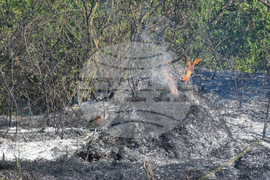 Село Селище - пожар