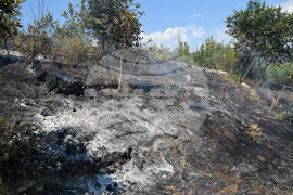 Село Селище - пожар