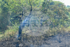 Село Селище - пожар