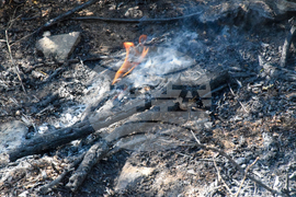 Село Селище - пожар