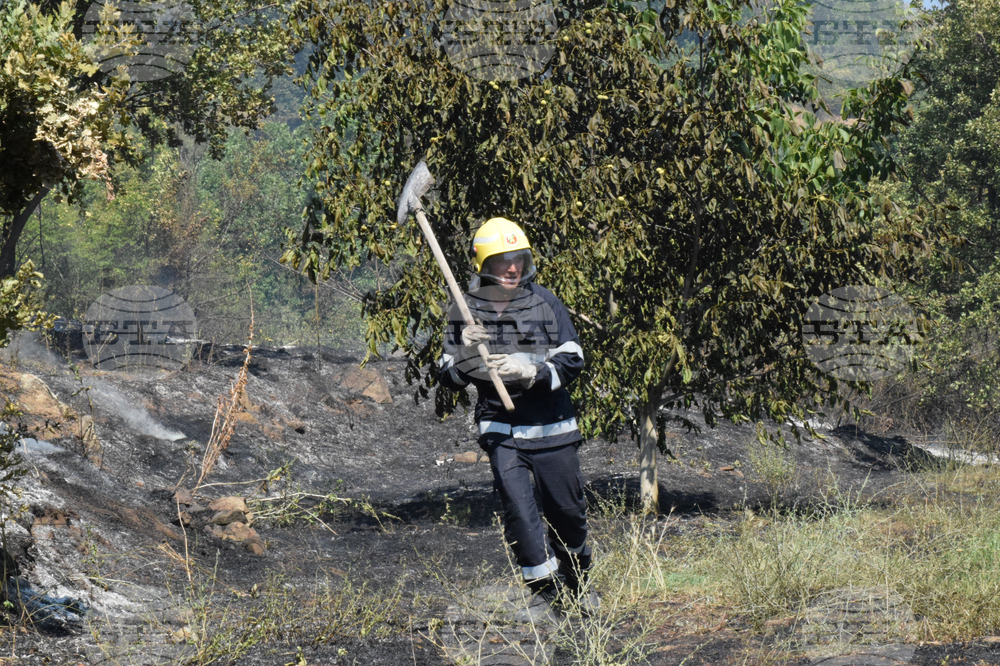 Село Селище - пожар