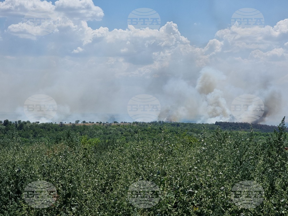 Овладян е пожарът в сухи треви и храсти край Русе