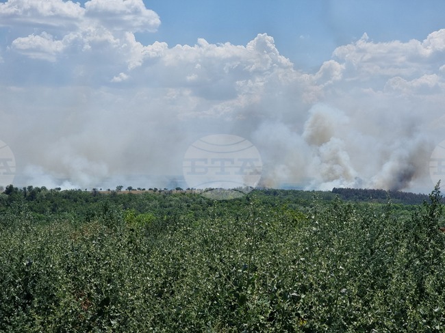 За три дни в Русенско огнеборци гасиха повече от 14 пожара в сухи треви и незаконни сметища 