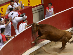 Spain Running of the Bulls