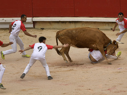 Spain Running of the Bulls