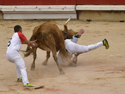 Spain Running of the Bulls