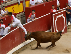 Spain Running of the Bulls