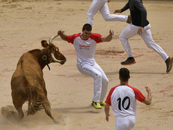 Spain Running of the Bulls