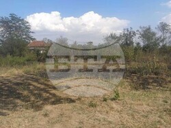 Снимка: Община Русе