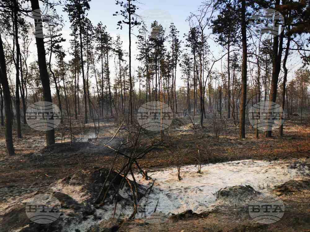 Тук е "ад под небето", каза от мястото на големия пожар в Свиленградско заместник областният управител на Хасково Митко Петров