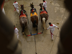 Spain Running of the Bulls