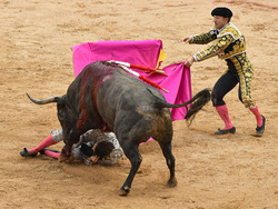 Spain Running of the Bulls
