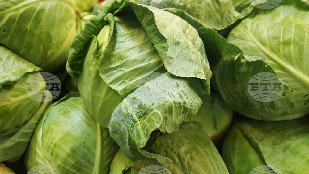Земеделец от Ямболско дарява продукцията си на социални домове, вместо да я продава на безценица