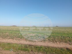 Разградски археолози за втори път в екипа за обход по археологическата карта на териториите на общините Кубрат и Разград