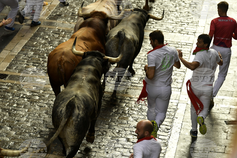 ЕФЕ: Един мъж беше пронизан от бик, а седем други пострадаха, по време на фестивала "Сан Фермин" в Памплона