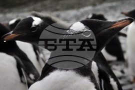 Месец на Антарктида - откриване