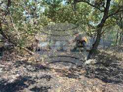 Снимка: Министерство на отбраната